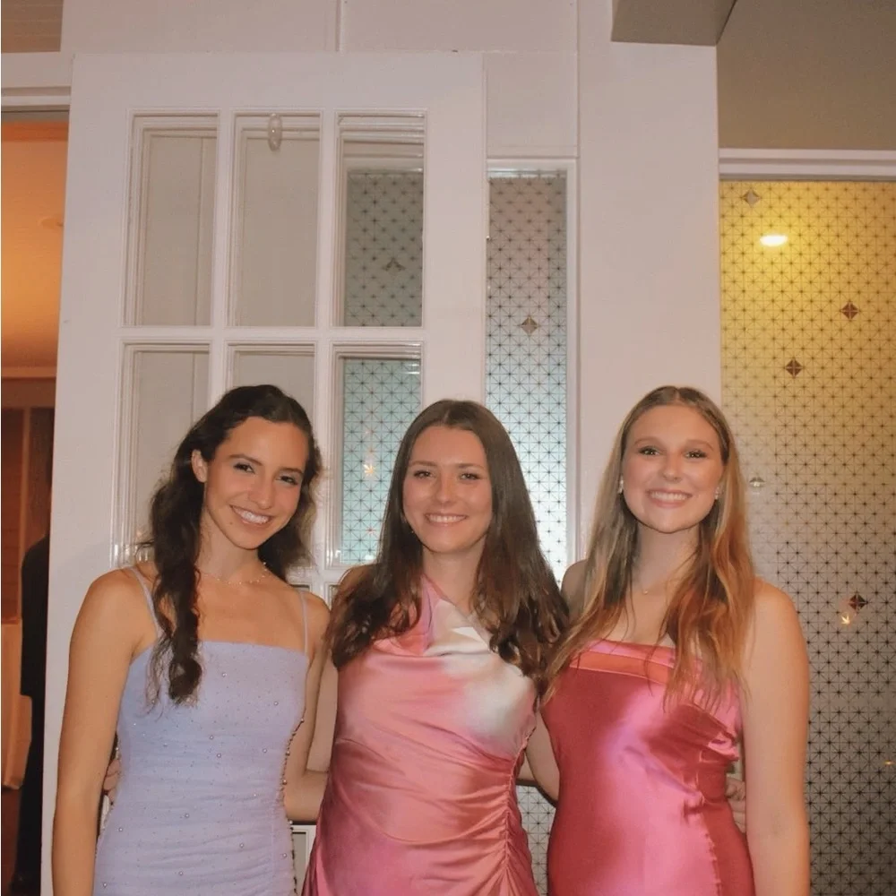 Pink and Blue Party Dress - Picture 3 of 7